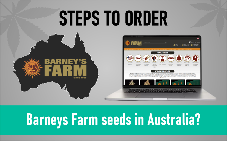 steps to order Barneys Farm seeds in Australia