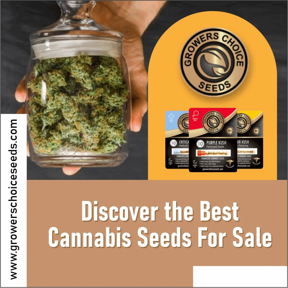 Buy Cannabis Seeds In Australia