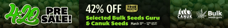 Pre 420 Sale true north seeds bank