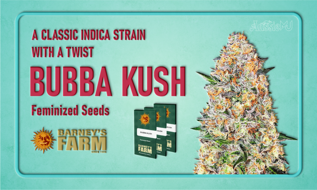 Bubba Kush Feminized Seeds