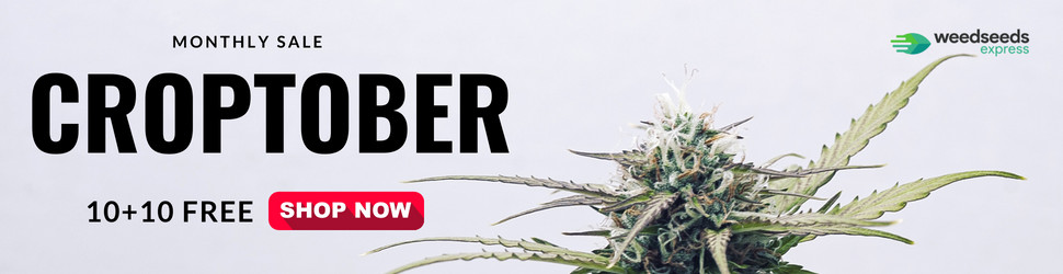 weedseedsexpress promotions australia