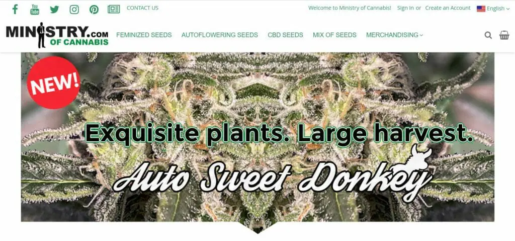 ministry of cannabis 