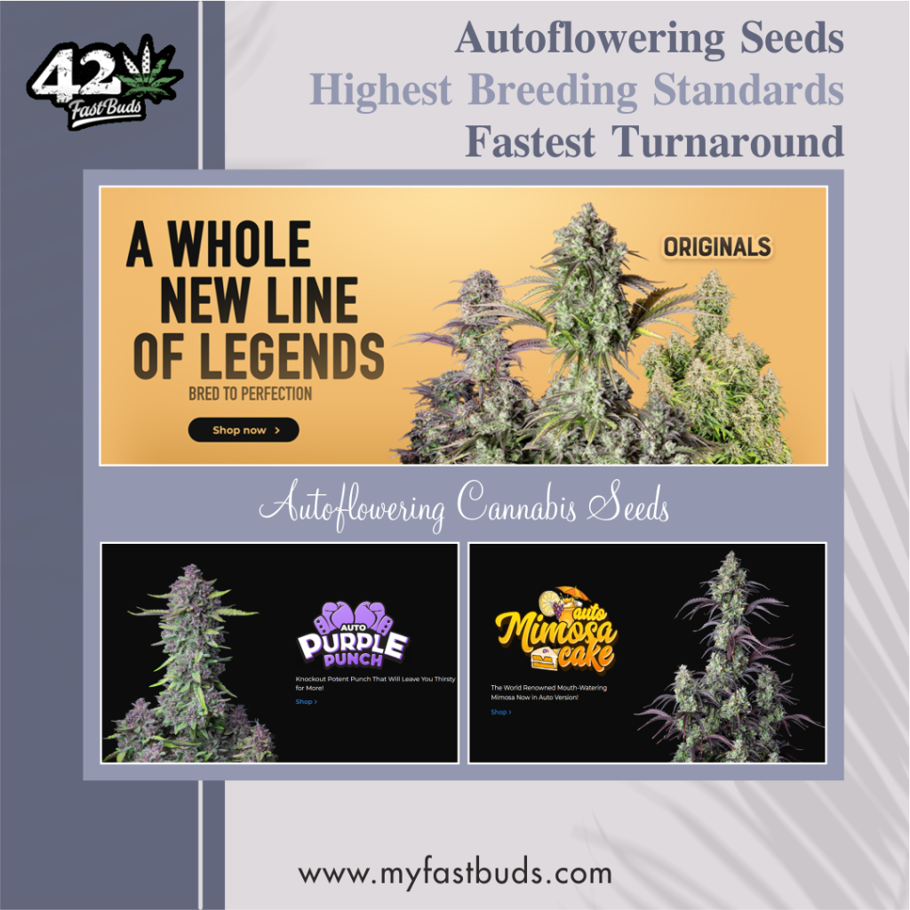 myfastbuds australia