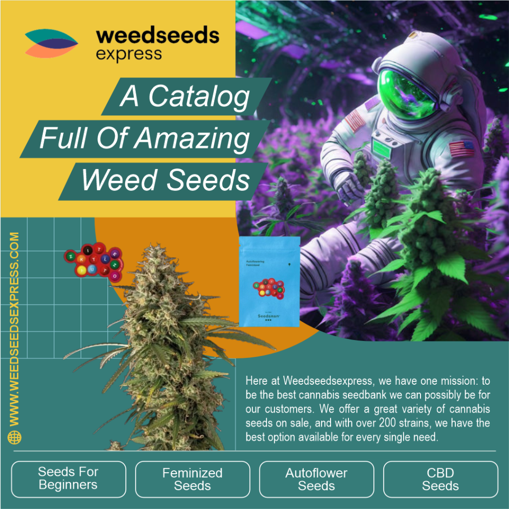 weedseedsexpress